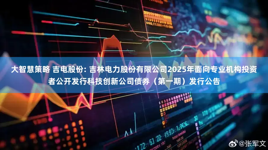 大智慧策略 吉电股份: 吉林电力股份有限公司2025年面向专业机构投资者公开发行科技创新公司债券（第一期）发行公告